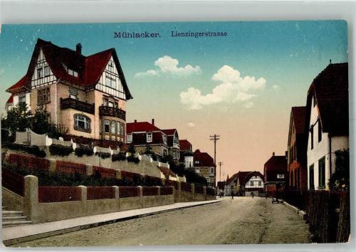 75417 W7130 Mühlacker - Lienzingerstraße Villen