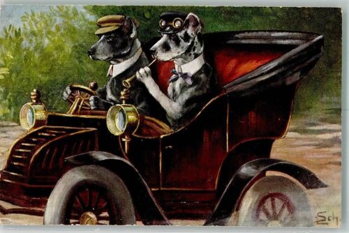Automobil Hunde vermenschlicht