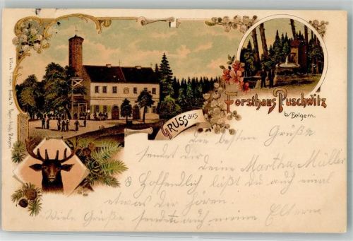 Puschwitz 1903 Forsthaus Puschwitz Rehbock Brunnen