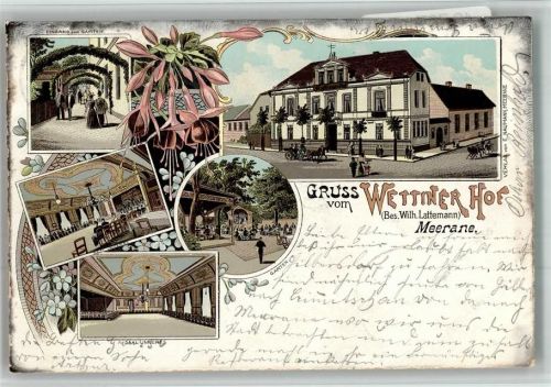 Meerane 1899 Lithographie Gasthaus Wettiner Hof Saal Garten Garteneingang