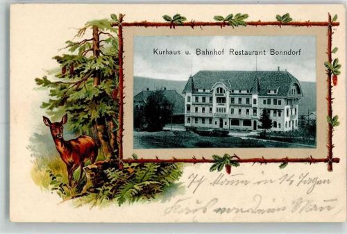 79848 W7823 Bonndorf im Schwarzwald 1907 Gebrauchsspuren Prägedruck Reh Kurhaus Bahnhof-Gasthaus Passepartout