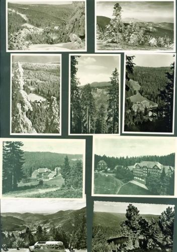 72270 W7292 Ruhestein Lot mit 26 AK Hotel Kurhaus Original aus dem Archiv eines Ansichtskartenverlags einige mehrfach