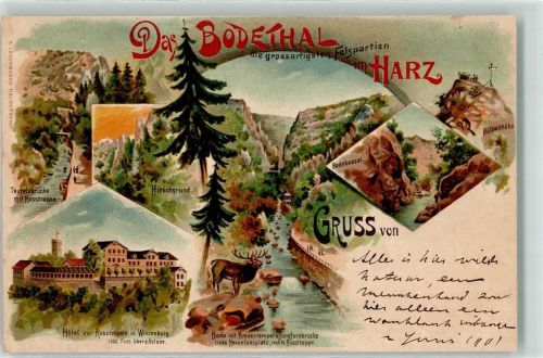 Thale Hotel zur Rosstrappe Hirschgrund Hirsch Bodekessel Teufelsbrücke