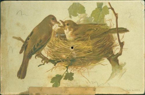 Serie 191 No 12 Vogel im Nest deutliche Gebrauchsspuren