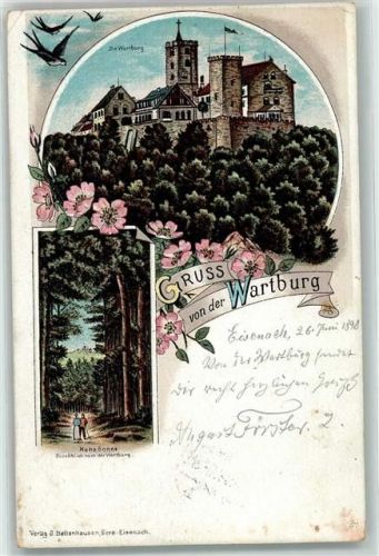 Wartburg 1898 Wartburg Hohe Sonne Schwalben Blumen Bahnpost Eisenach Frankfurt Zug Nr.488