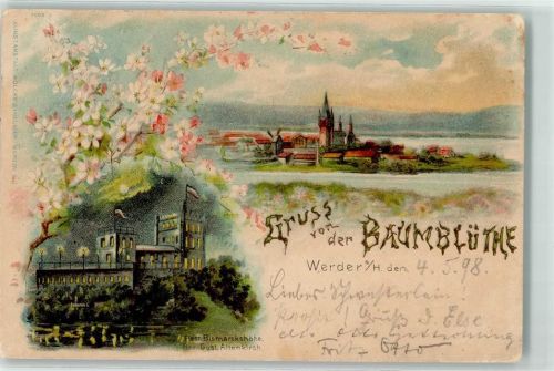 Werder 1898 Gasthaus Bismarckhöhe Baumblüte