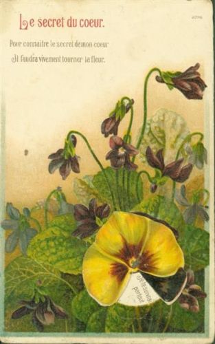 große Blüte drehbar
