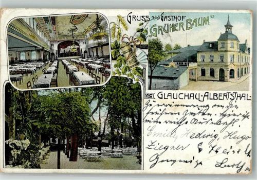 Albertsthal 1906 Gasthaus Grüner Baum Festsaal Garten
