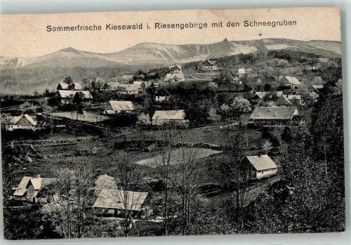 Kiesewald Riesengebirge mit den Schneegruben