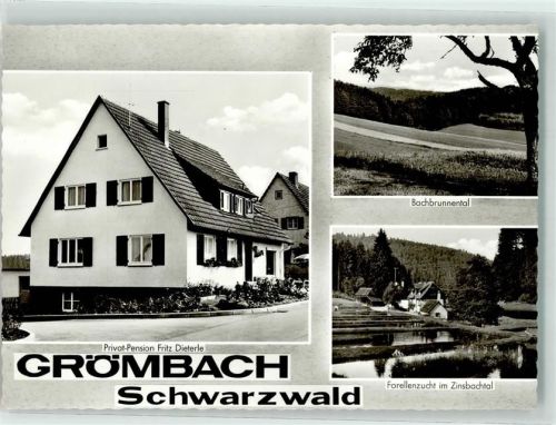 Grömbach Privat Pension Bachbrunnental Forellenzucht im Zinsbachtal