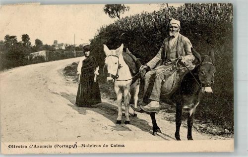 Aveiro 1920 Tracht Esel Oliveira de Azeméis