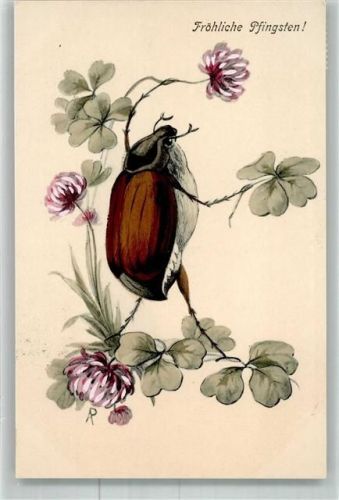 1902 Pfingsten Kleeblatt Blüten