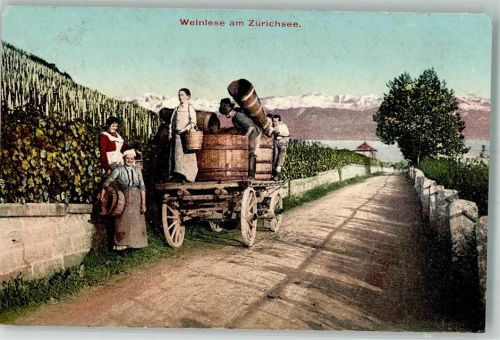 1910 Weinlese am Zürichsee Verlag Künzli-Tobler 896