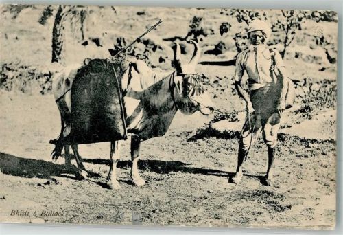 Calcutta Tracht Ochse Ort lt. Stempel