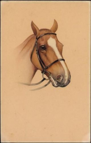 um 1920/30 Pferdekopf, Künstler-AK, head of a horse, artist-card