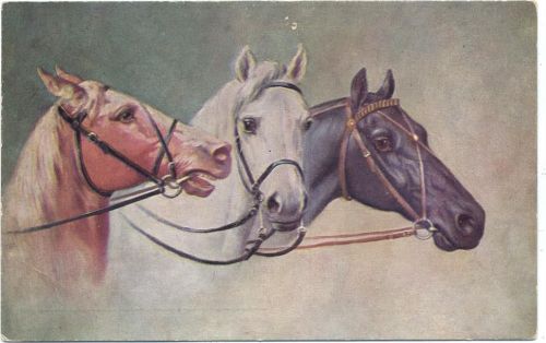 um 1910/20 Pferde