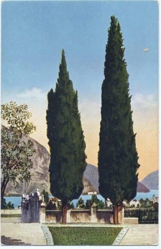 um 1910/20 Lago di Como: Menaggio,Cesare Capello