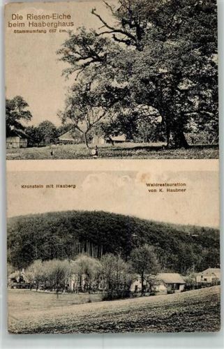 Kronstein Gashaus Haubner Haaberghaus Riesen-Eiche