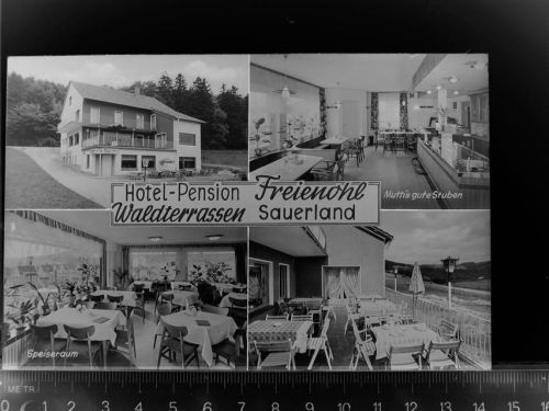 Freienohl Hotel-Pension Waldterrassen