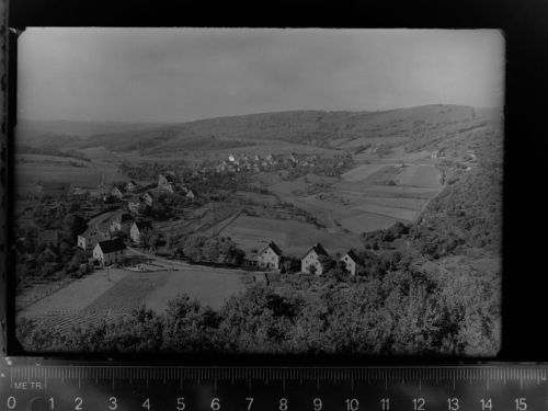 Hasenfeld