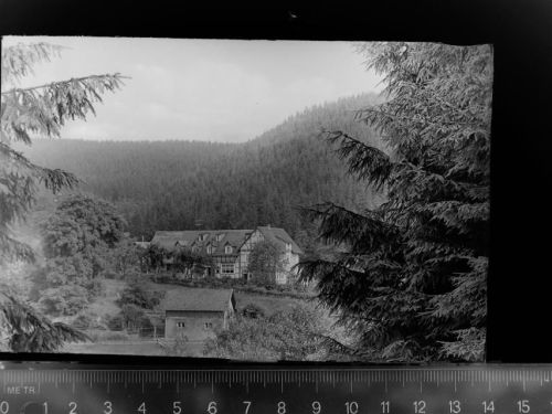 Brilon Haus Waldfrieden
