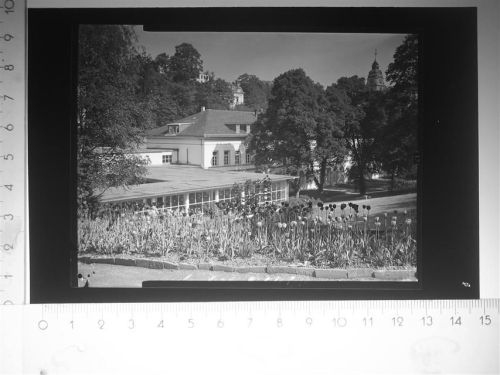 Bad Schwalbach Park