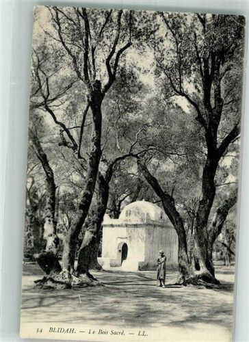 Blida