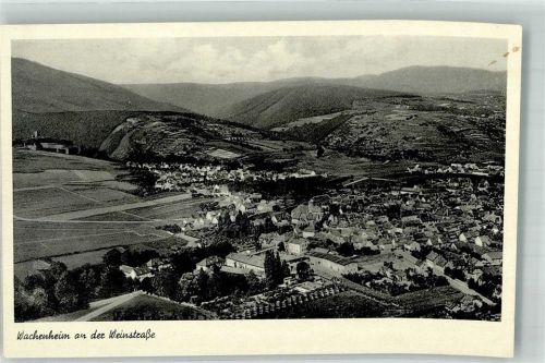 Wachenheim Fliegeraufnahme des Ortes