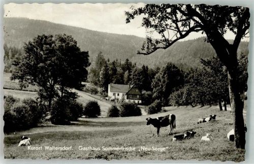 Waltersdorf Gasthaus Sommerfrische Neue Sorge Kuh