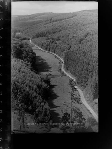 59872 W5778 Freienohl , Sauerl GLASNEGATIV Rümmecketal