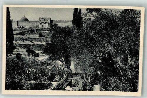Jerusalem Garten Gethsemane