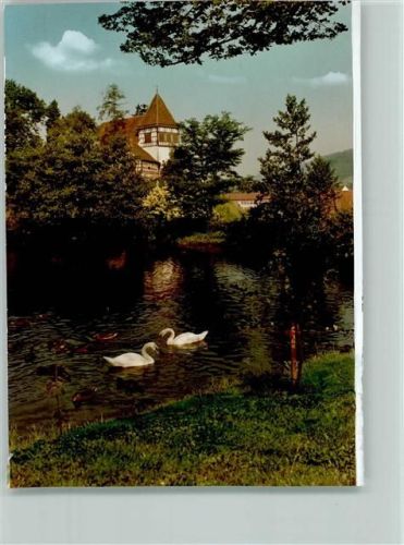 Murrhardt Schwäne im See