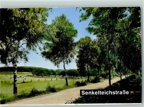 Vlotho Bad Seebruch Senkelteichstraße Birkenallee