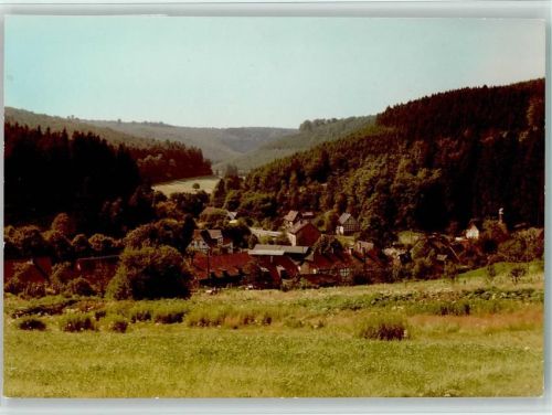Fohlenplacken