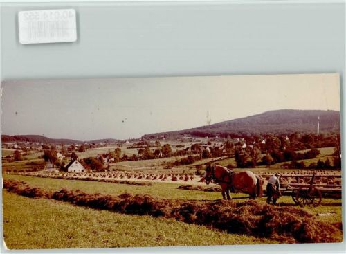 Leopoldstal Pferdefuhre Heuernte