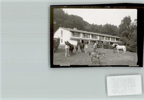 Schieder-Schwalenberg Pferdeferien