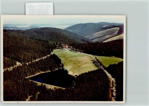Auerhahn Luftaufnahme