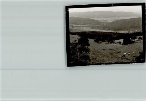 Lichtenhagen Blick ins Tal Kühe