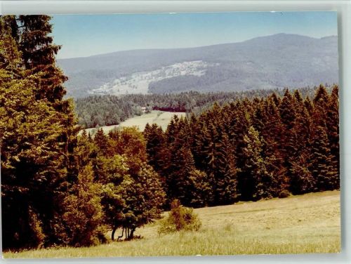 Waldhäuser Aussicht
