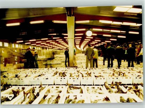 Bremerhaven Fisch Auktion