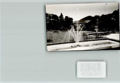 Forbach Springbrunnen