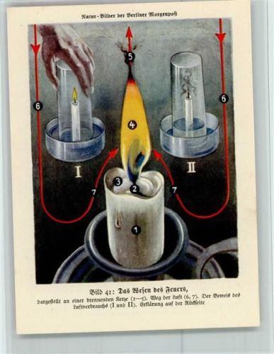Naturbild Berliner Morgenpost 1933 Das Feuer