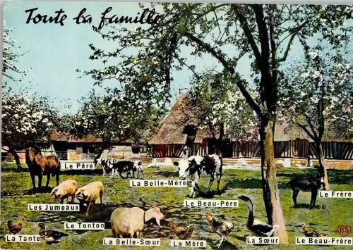 Französische Tierfamilie Schweine, Pferd, Kuh, Ziege, Gans Hühner