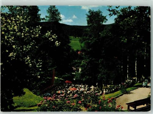 Baiersbronn Konzert in den Kuranlagen