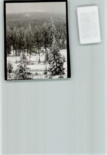 Torfhaus verschneiter Wald