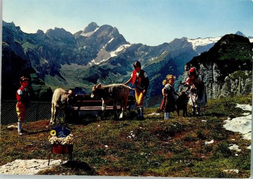 Appenzell Appenzeller Trachtenkinder und junge Kälbli