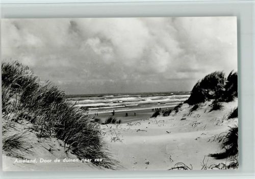 Hollum Dünen