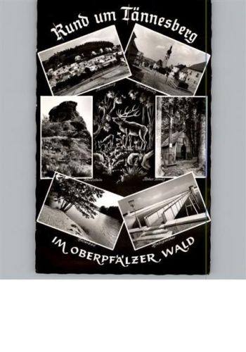 Tännesberg