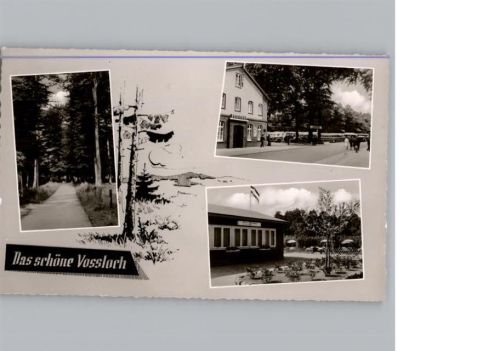 Voßloch Hotel Grüner Wald