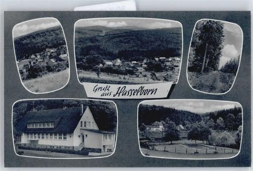 Hasselborn